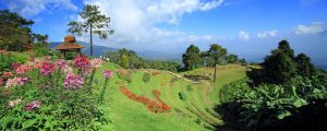 Les circuits en famille thailande : voyage réussi