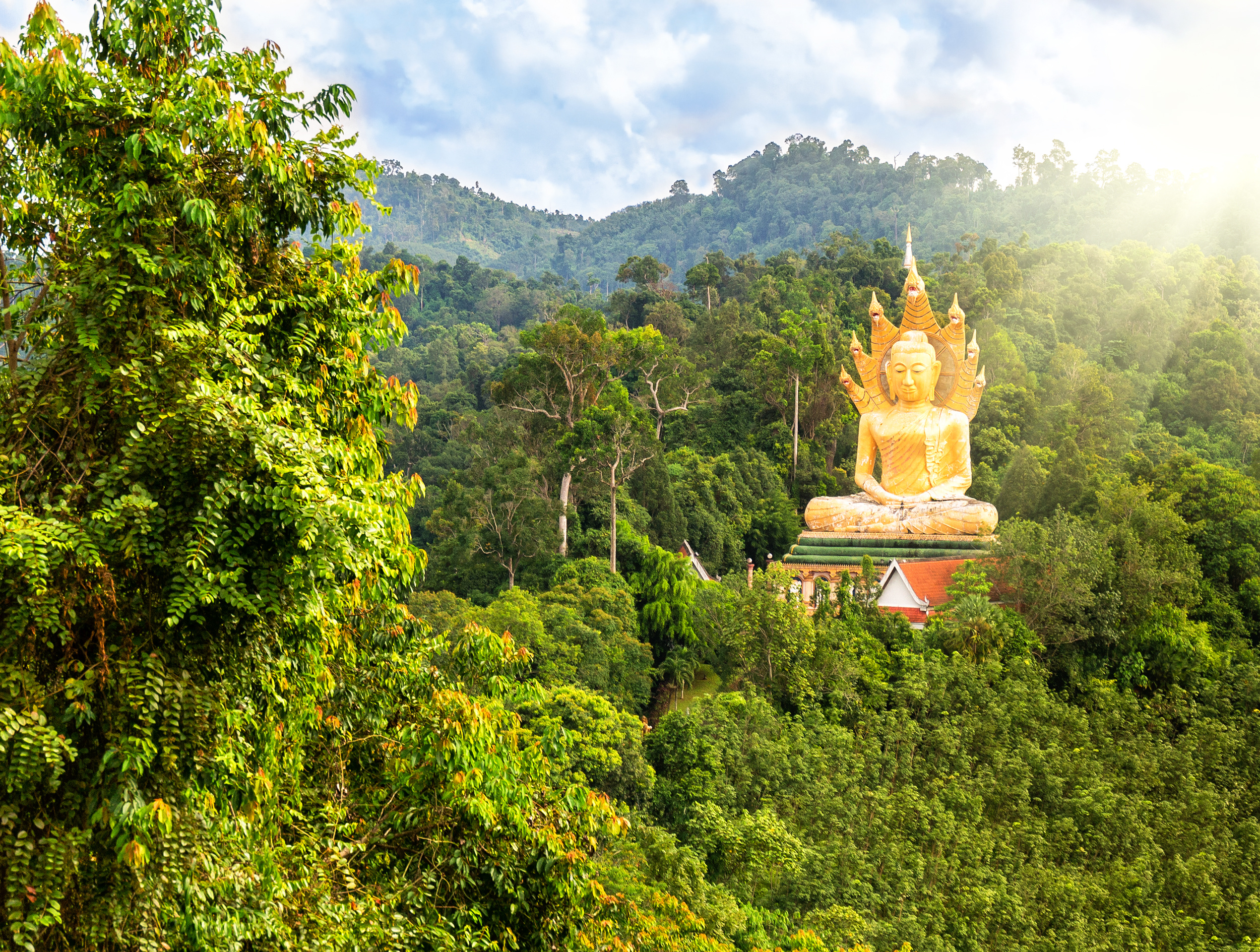 Les circuits en famille thailande : voyage réussi