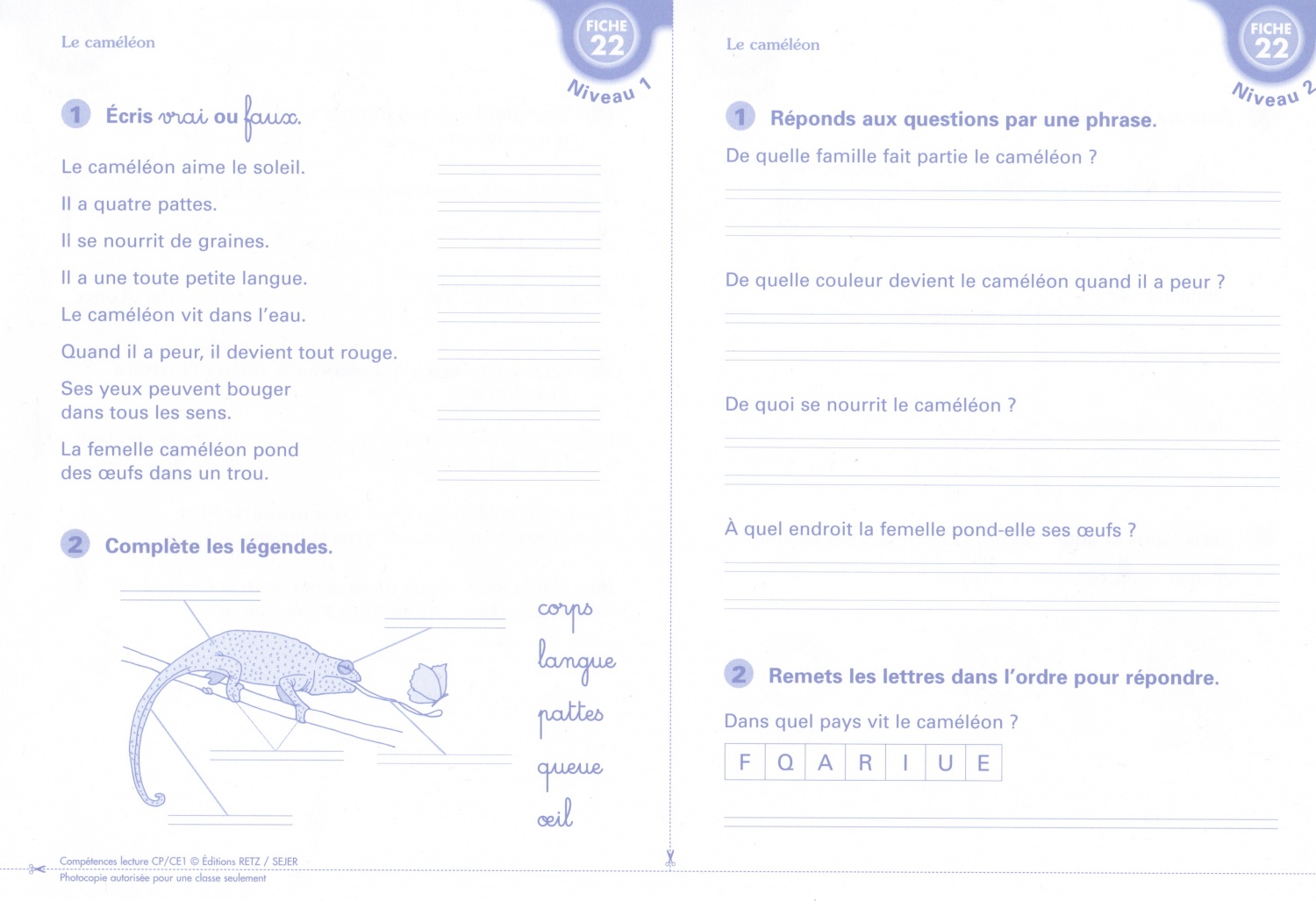 Comment Faire Une Lecture De Mes Video