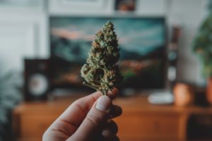 L’impact du CBD sur la neurogenèse et la santé cérébrale
